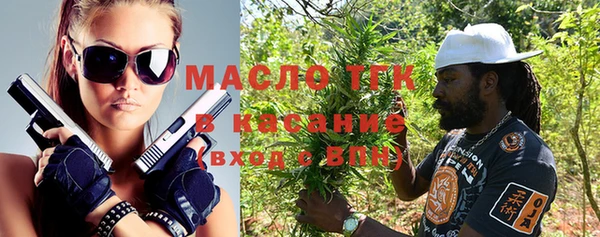твердый Верхний Тагил