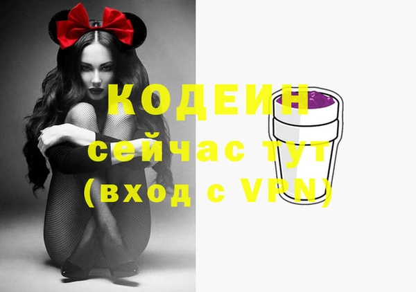 твердый Верхний Тагил