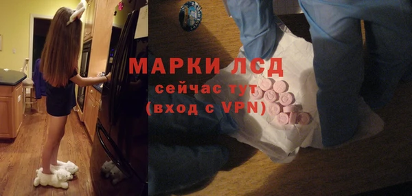 прущие грибы Бородино