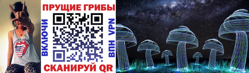 Купить  Муравленко  Псилоцибиновые грибы Psilocybe 